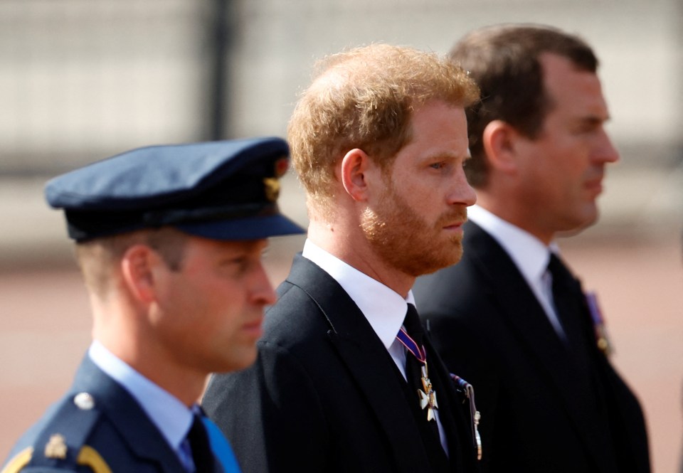 Prince William and Prince Harry walk side by side