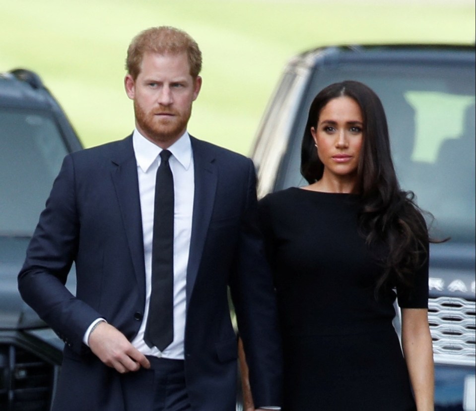 Prince Harry and Meghan Markle's profiles have been demoted on the royal website