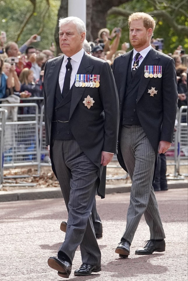 Prince Harry and Andrew are wearing their morning suits for the Queen's coffin procession