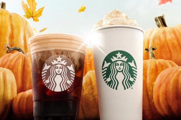 two starbucks drinks are surrounded by pumpkins