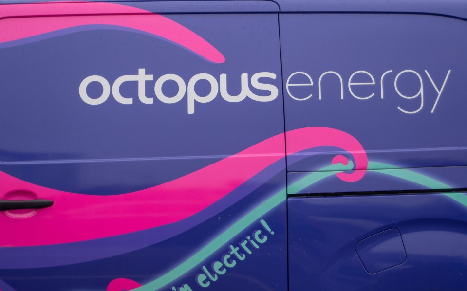 Customers experiencing financial difficulty can contact Octopus Energy for help