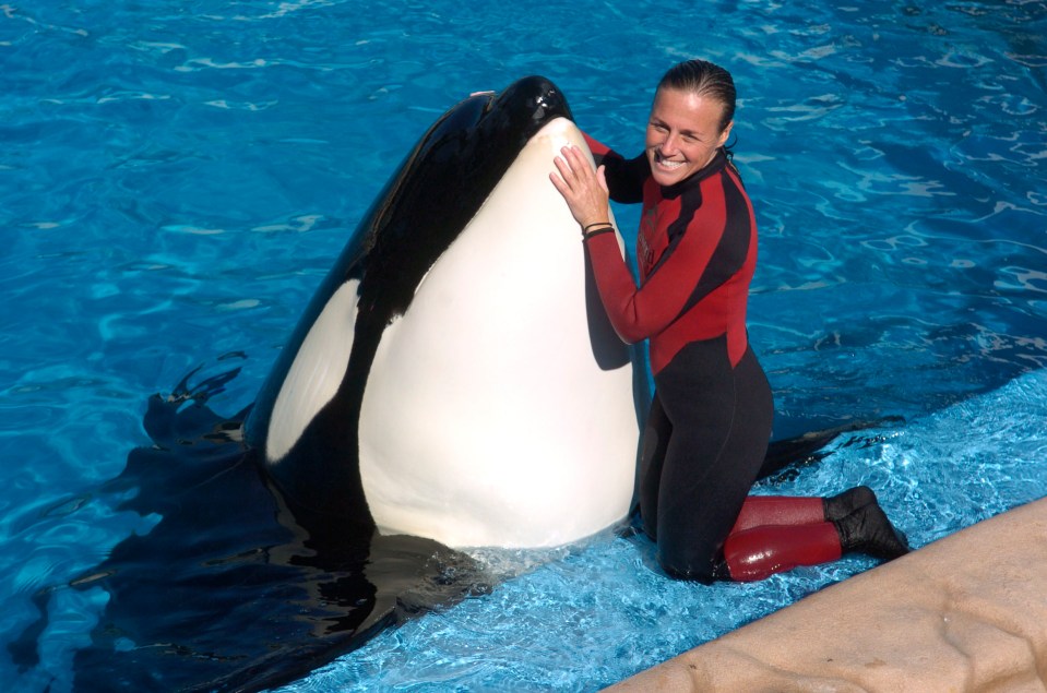 Dawn was an experienced trainer who cared deeply for the whales