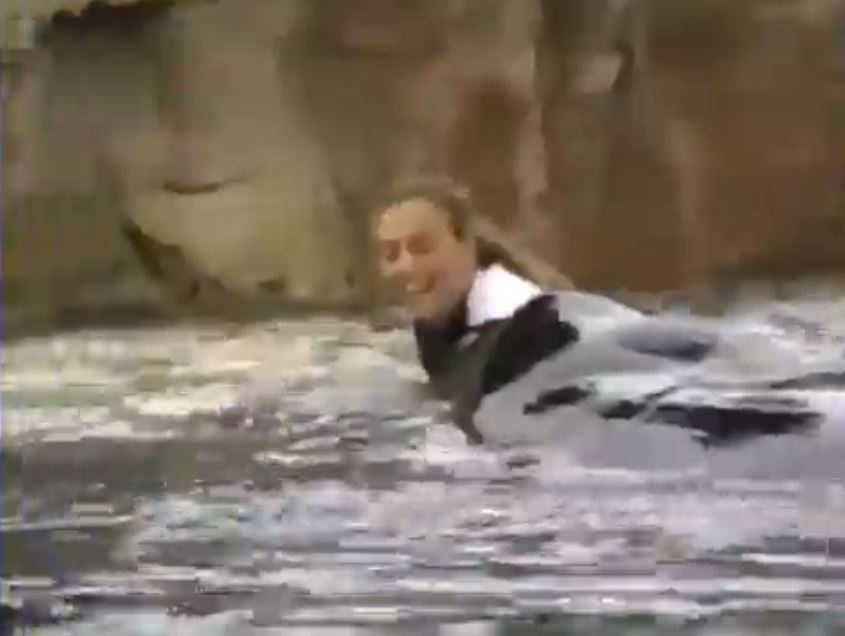 Dawn Brancheau pictured moments before she was killed by Tilikum