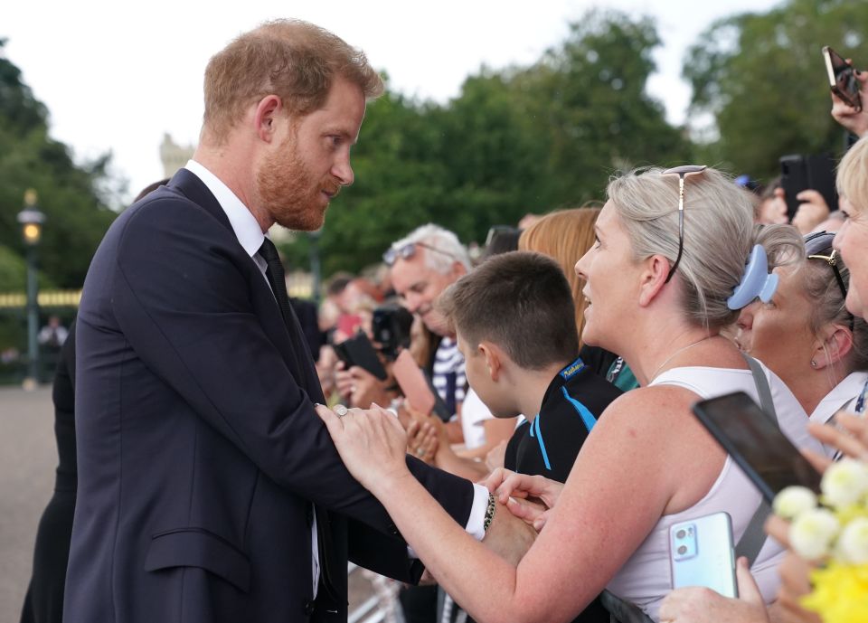 Harry meets royal fans who came to pay their respect in Windsor