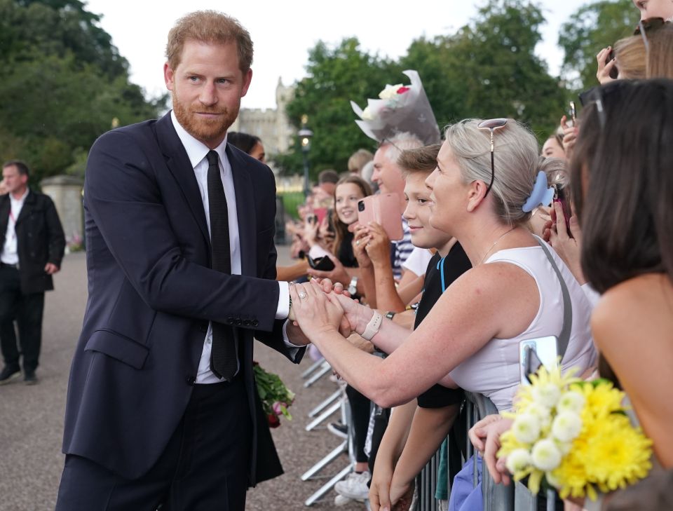 Prince Harry on a walkabout following Her Majesty's death on Thursday