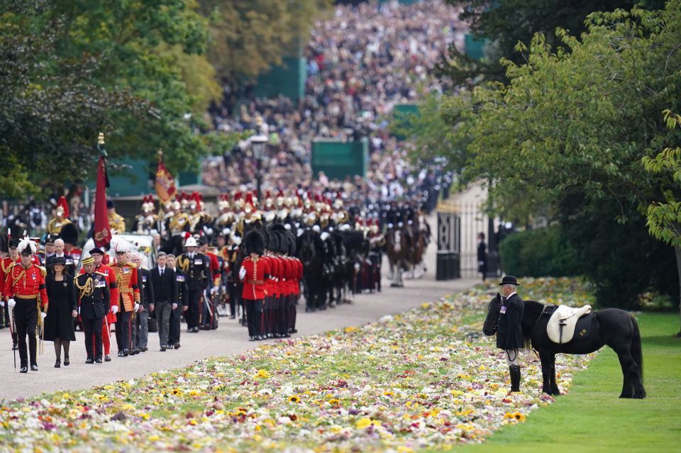 The Queen's favourite horse Emma waited for the Queen's coffin to arrive at Windsor Castle