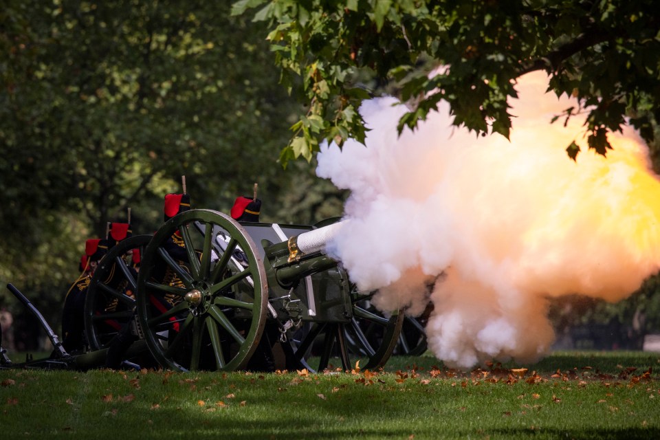 Members of the Royal Horse Artillery also fired cannons from Hyde Park