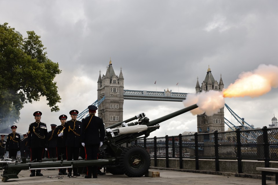 Gun salutes heralded in the new King