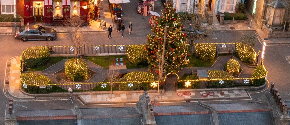 The garden is covered in lights