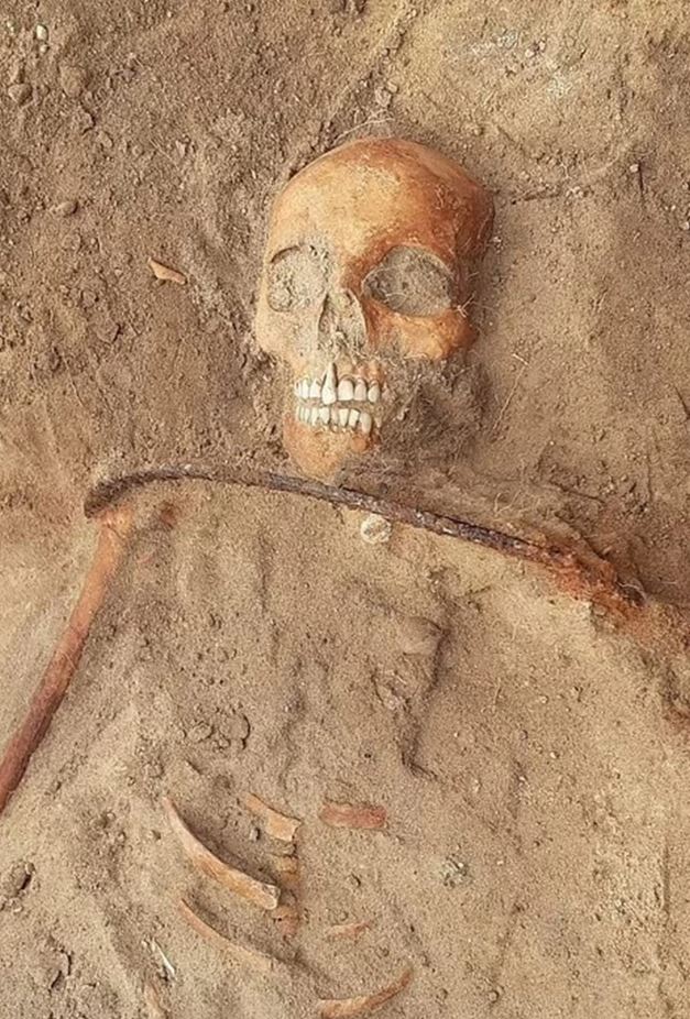 a skeleton with a skull and a stick in the sand .