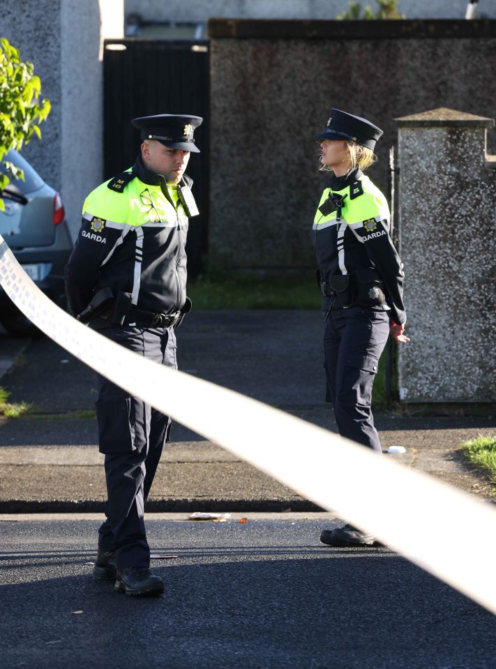 Emergency services on the scene at the Rossfield Estate in Tallaght, Dublin