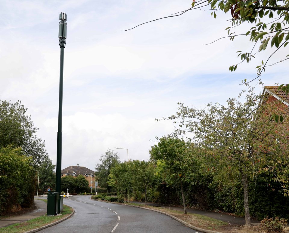 Residents say the mast won't even improve their phone signal