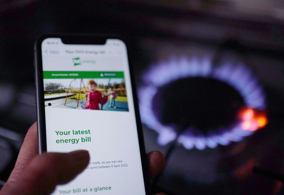 Energy firm grants including British Gas and Octopus Energy