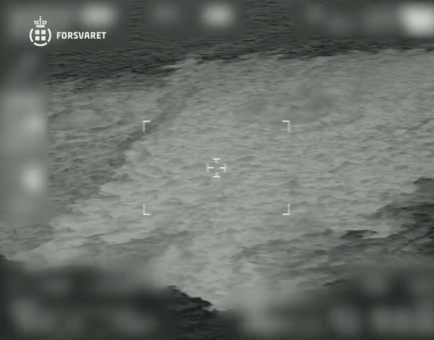 Denmark's armed forces released the chilling video as they guard the scene