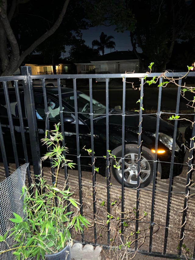 He said his neighbours have been told but they keep blocking his driveway