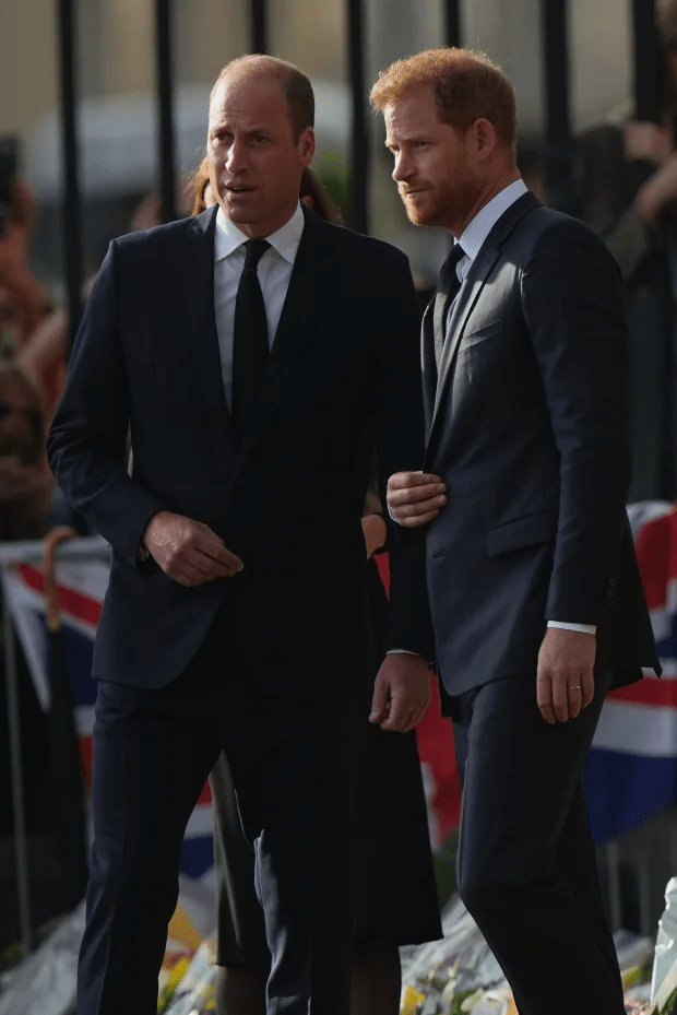 Prince William texted his brother to finalise details for Saturday's walkabout