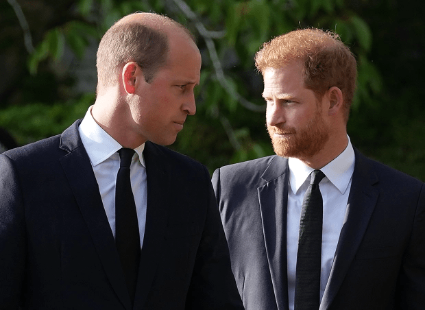 Prince William and Prince Harry after viewing tributes left to the Queen outside Windsor Castle