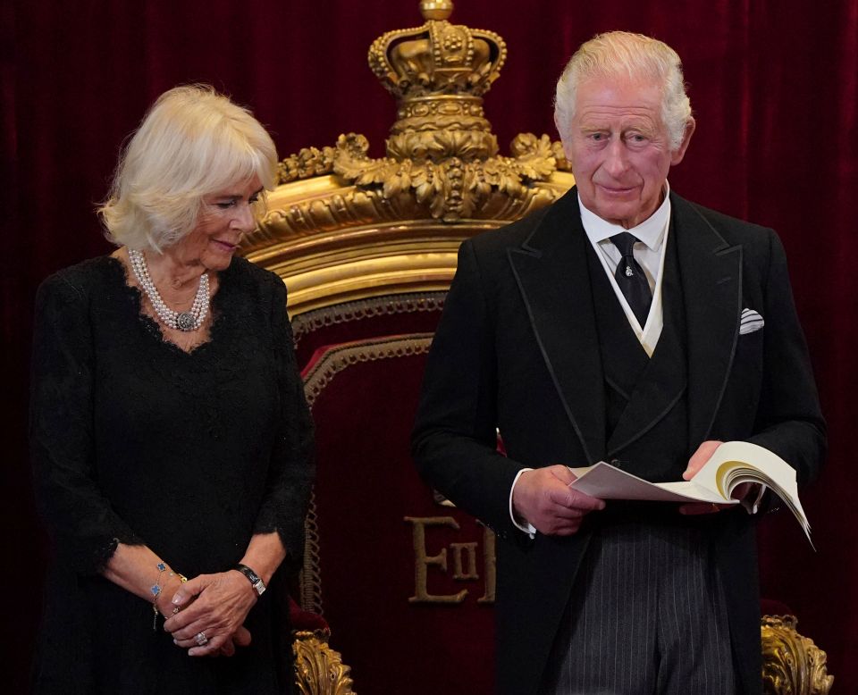 Queen consort Camilla's good grace makes her a real asset to King Charles