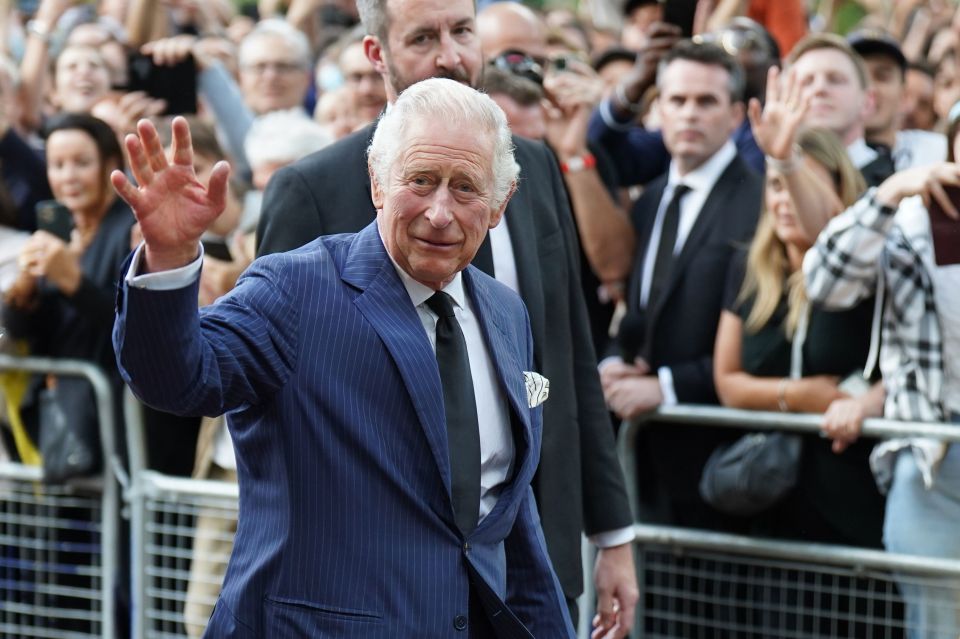 King Charles greets the public in London, after he was formally proclaimed monarch