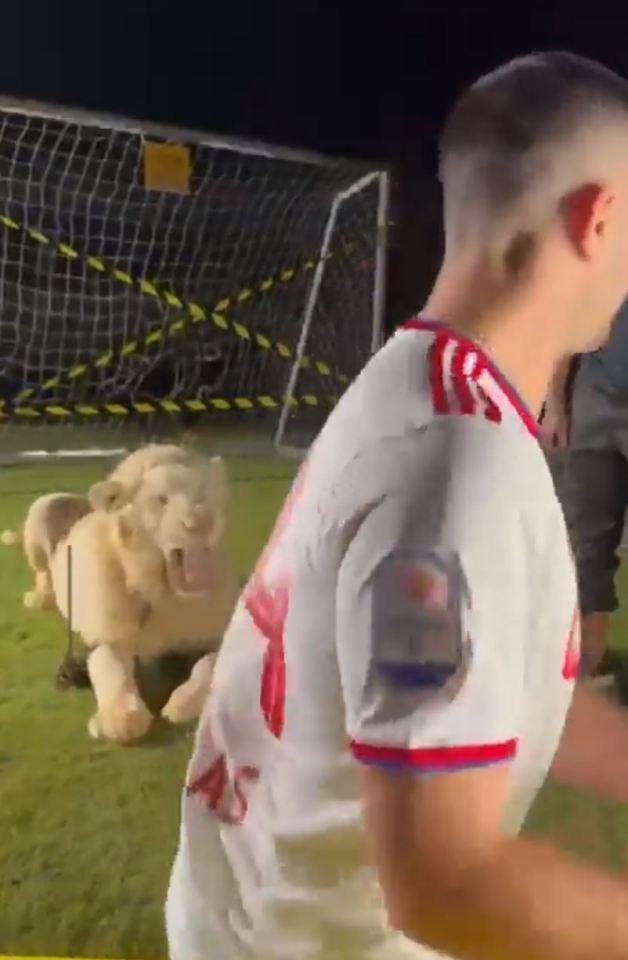 Kostas Manolas was left terrified after a lion roared at him during his presentation