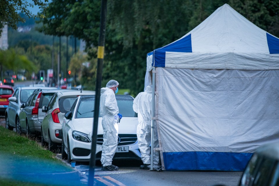 A murder investigation is underway, with two areas covered with blue tents