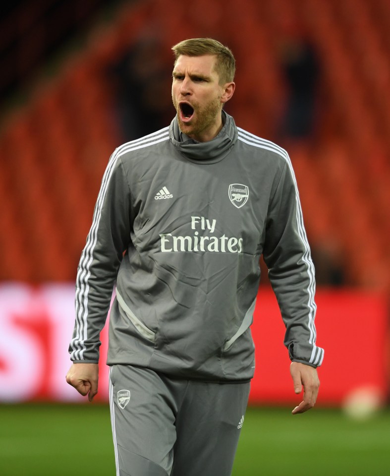 Per Mertesacker wants to deliver a 'world leading' academy for Arsenal