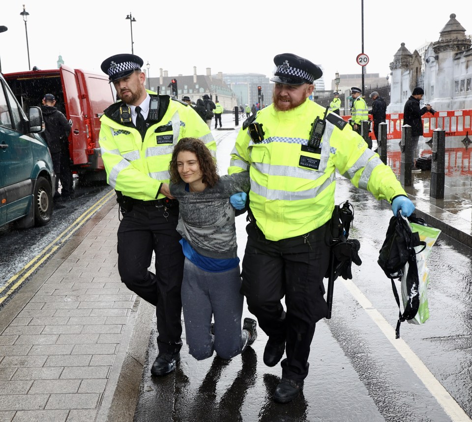 Four members of Animal Rebellion, who glued themselves to the pavement, were also removed