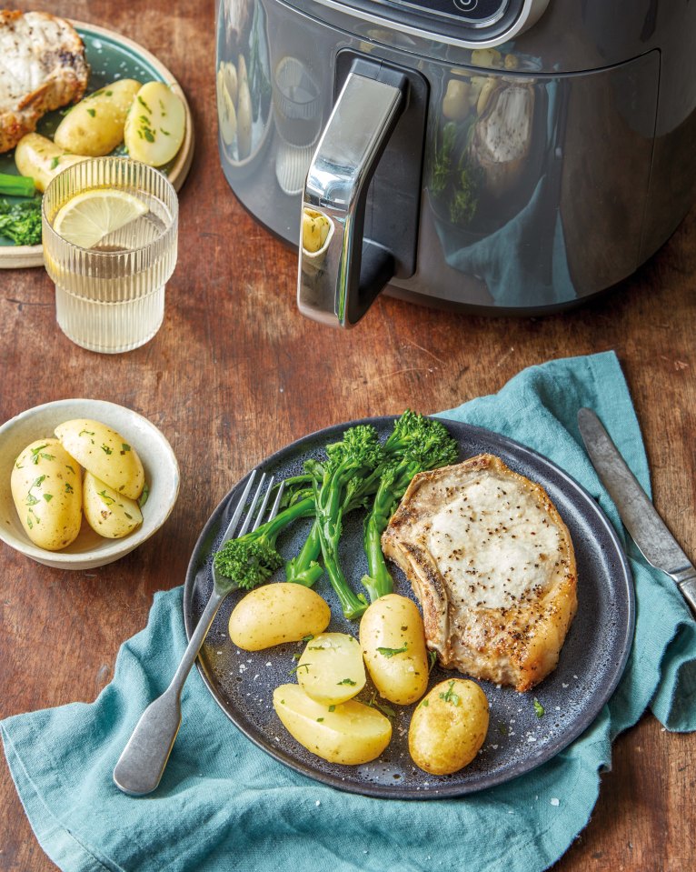 Air fryers are a healthy and cheaper way of cooking meat