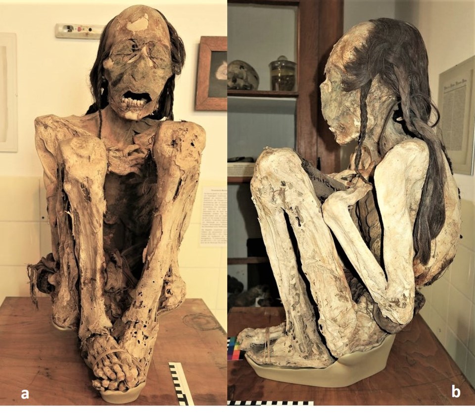 Scientists examined South American mummies using 3D scanning technology