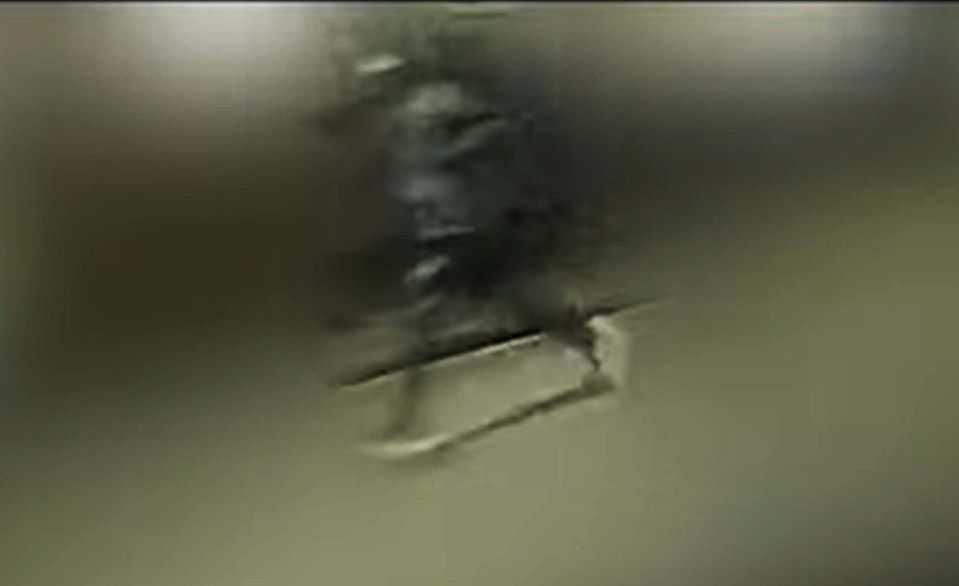 CCTV shows the gunman fleeing the scene