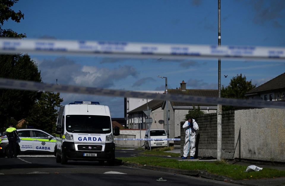 Cops and forensic teams examine the scene