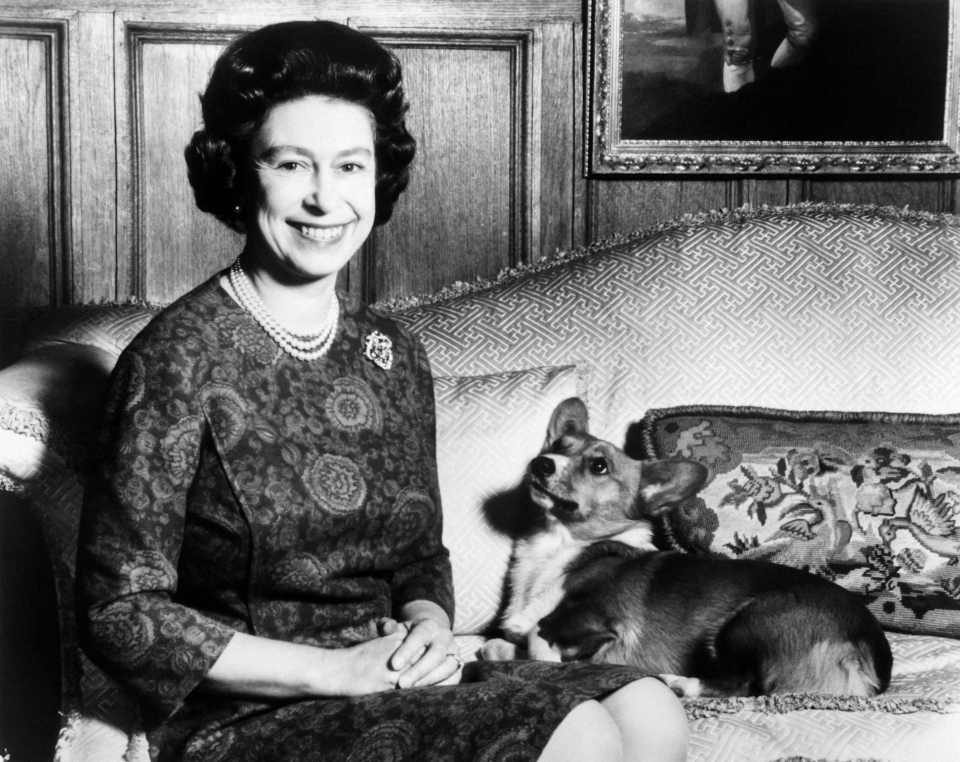 Photo taken on February 26, 1970 Queen Elizabeth II poses with her Corgis dog.