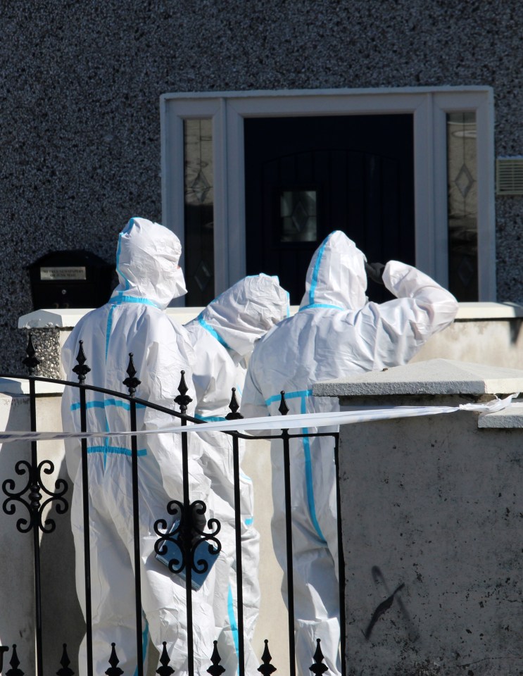 Members of the Garda Technical Bureau taking pictures at the scene