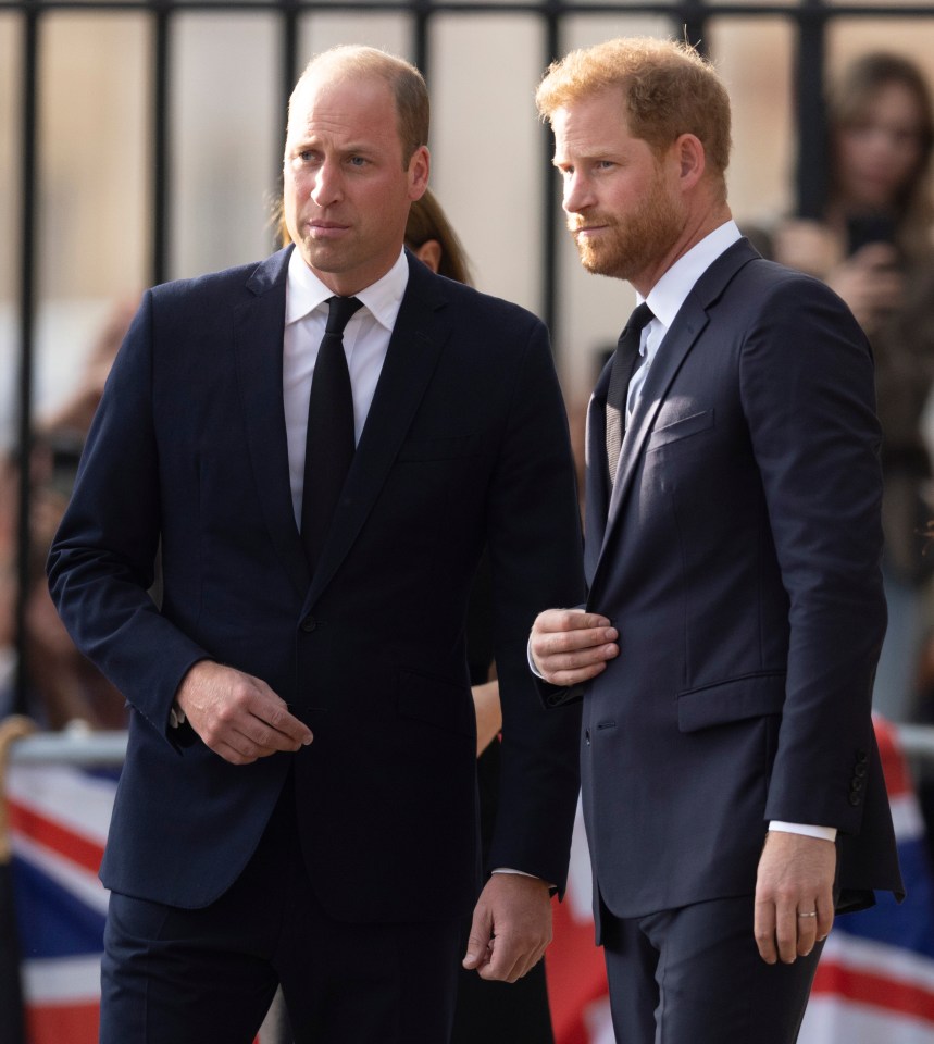 The brothers had barely spoken for 2½ years after the Sussexes left for the US