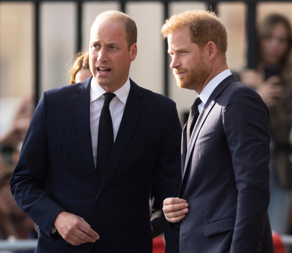 Prince William and Prince Harry were pictured speaking together