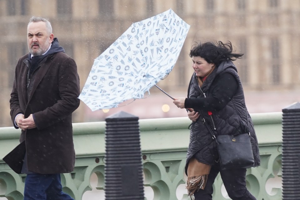 High winds will be the centrepiece of the triple whammy of the cold, wet and windy forecast set to arrive on Monday - similar to scenes in London earlier this year