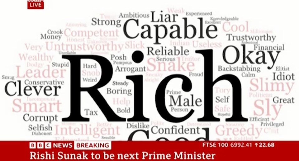 Pollsters had asked Brits to describe Rishi Sunak with one word - C*** and T*** can be seen bottom right and top left