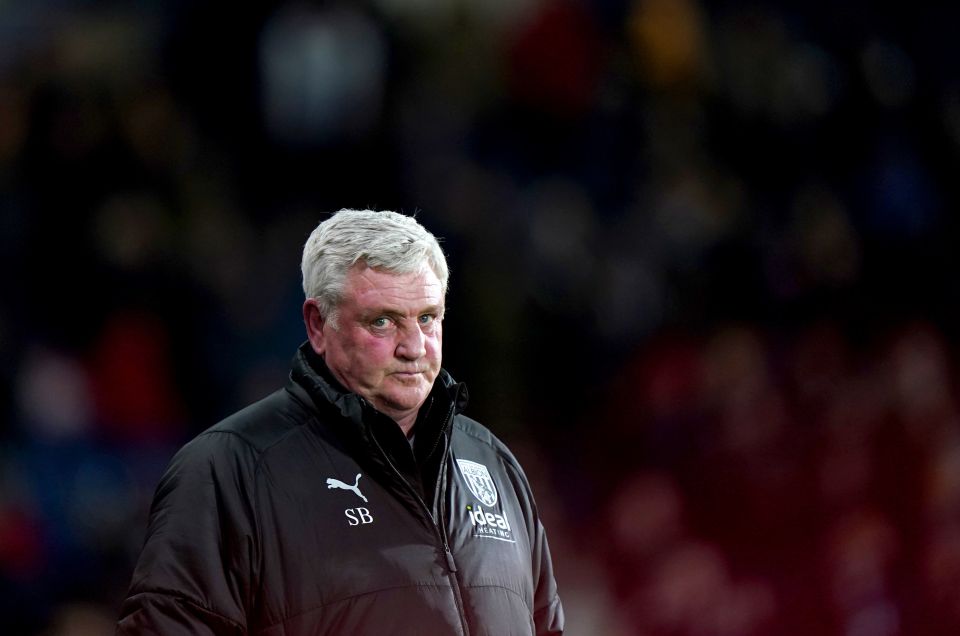 Steve Bruce was dismissed as West Brom boss after an awful run of results left them in the relegation zone