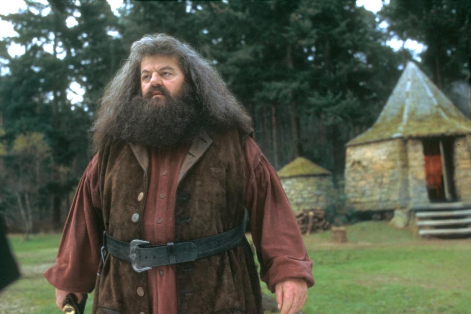 Robbie played gentle giant Hagrid in the Harry Potter movie franchise