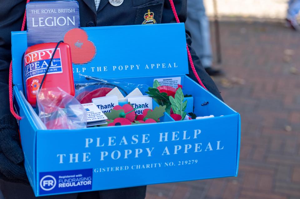 The Royal British Legion have cancelled their annual London Poppy Day event