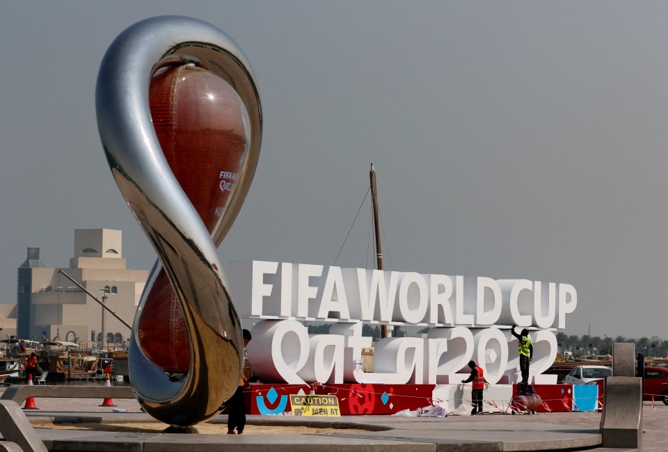 Horrified activists began campaigns for change after it was announced Qatar would host the World Cup