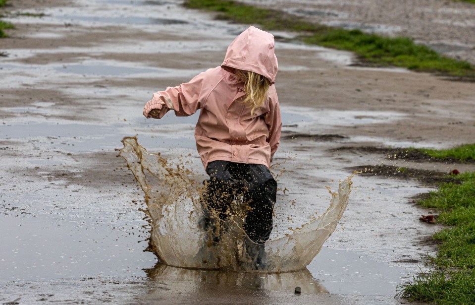 Heavy rain is forecast across most of the country this week