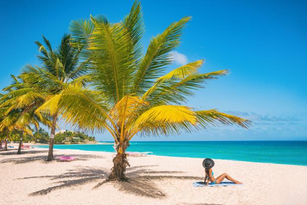 a woman sits under a palm tree on the beach