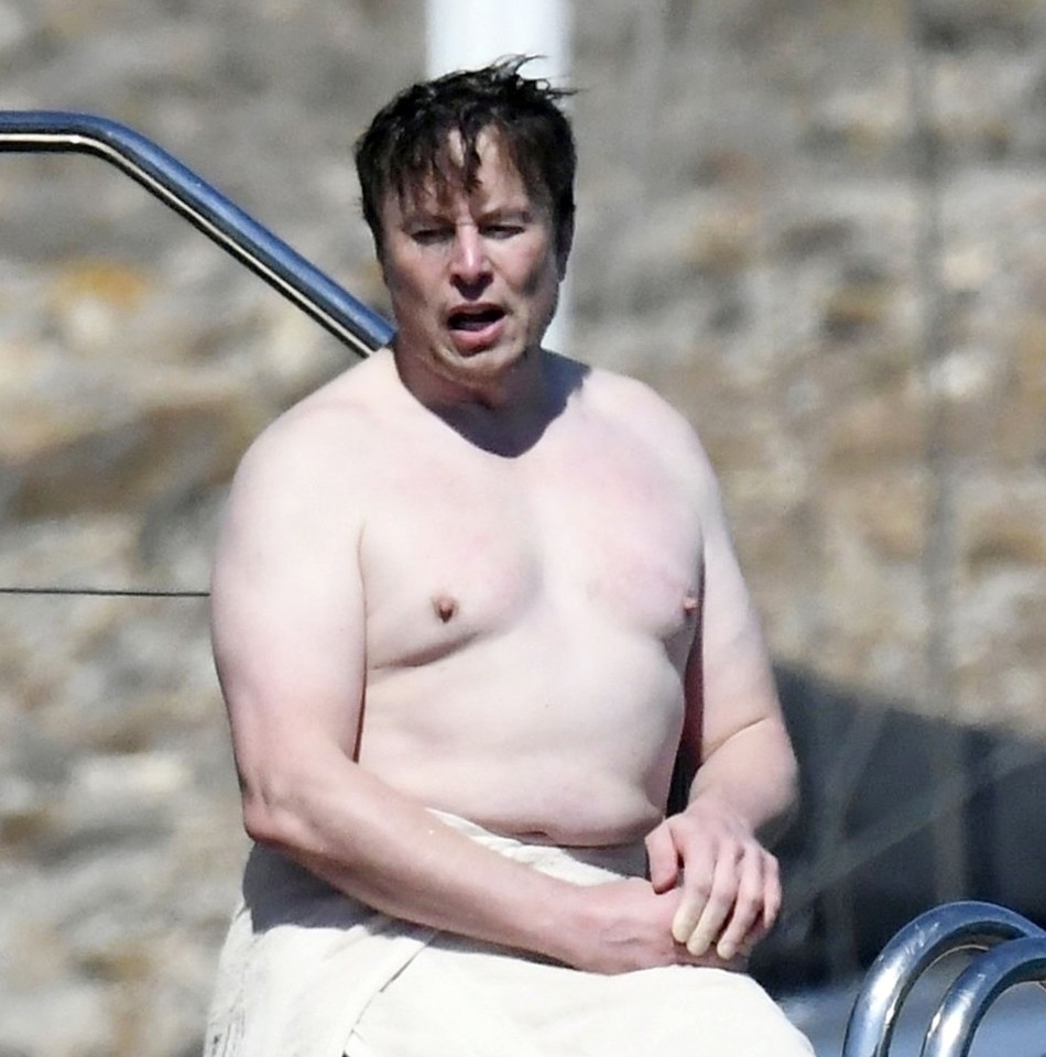 Pasty Musk once took only two week's holiday in 12 years