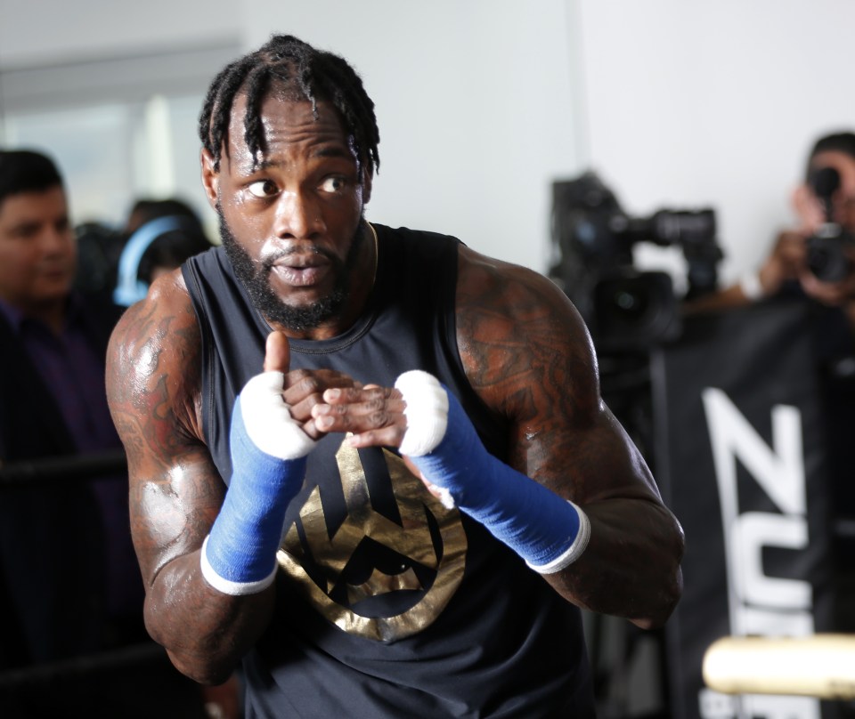 Wilder has welcomed a boxing-UFC crossover fight with Ngannou