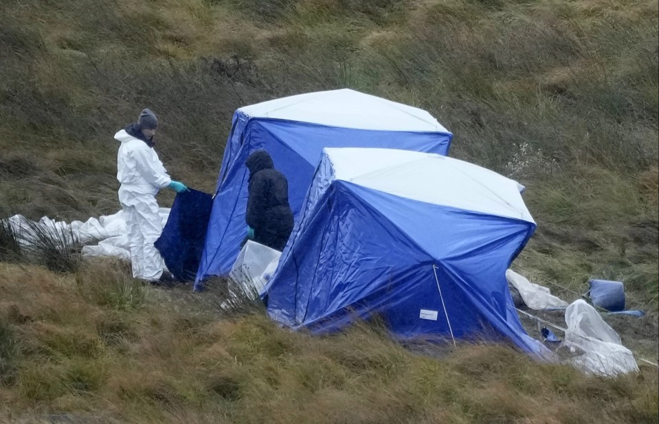 A forensics officer at an area being searched on Saddleworth Moor in the hunt for the remains of the body of Keith Bennett