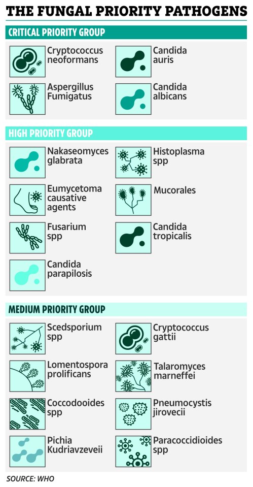 The WHO have ranked 19 fungal priority pathogensbased on threat to humanity