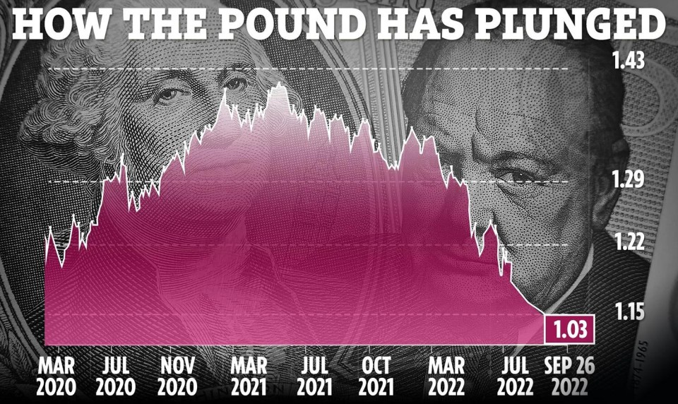 The pound fell to its lowest levels since 1971