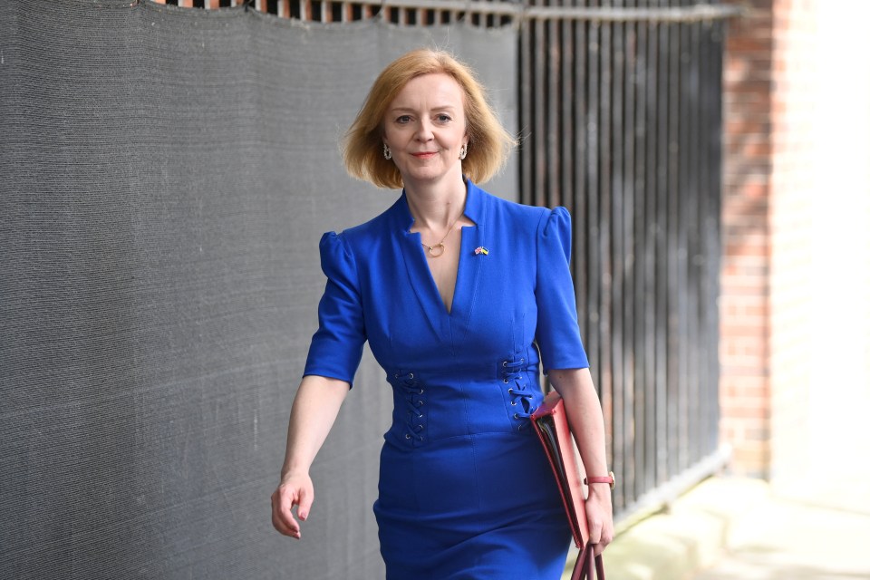 New book Out Of The Blue reveals how Liz Truss started her quest to become PM before Boris even resigned