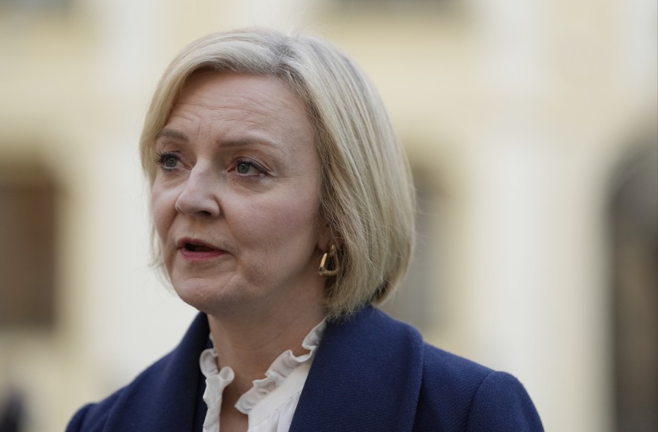 Investment zones were the centrepiece of Liz Truss’s plans to boost growth